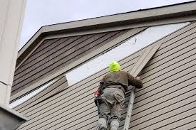 Affordable Siding Repair and Maintenance Services in Lake Clarke Shores, FL